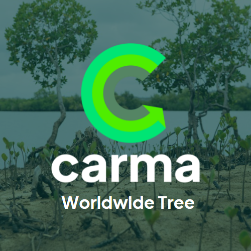 Athena fortè joins forces with Carma - For every sale we plant 5 Trees